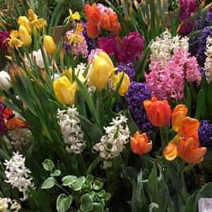 Meet your Posher, Debbie